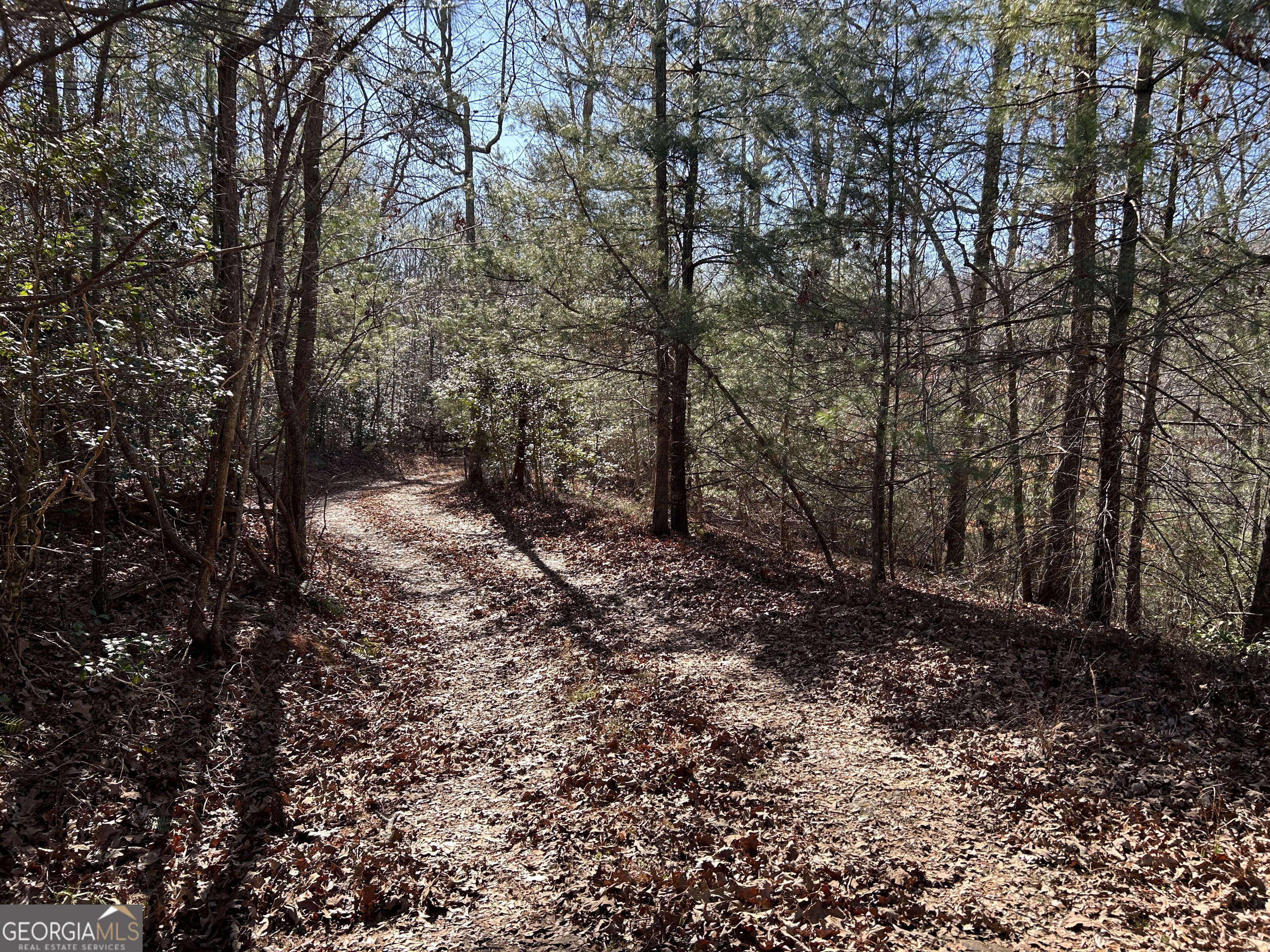 0 Twin River Orchard Road, Unit TRACT 3 Demorest, GA 30535 - Photo 37 of 39 a big yard with lots of green space