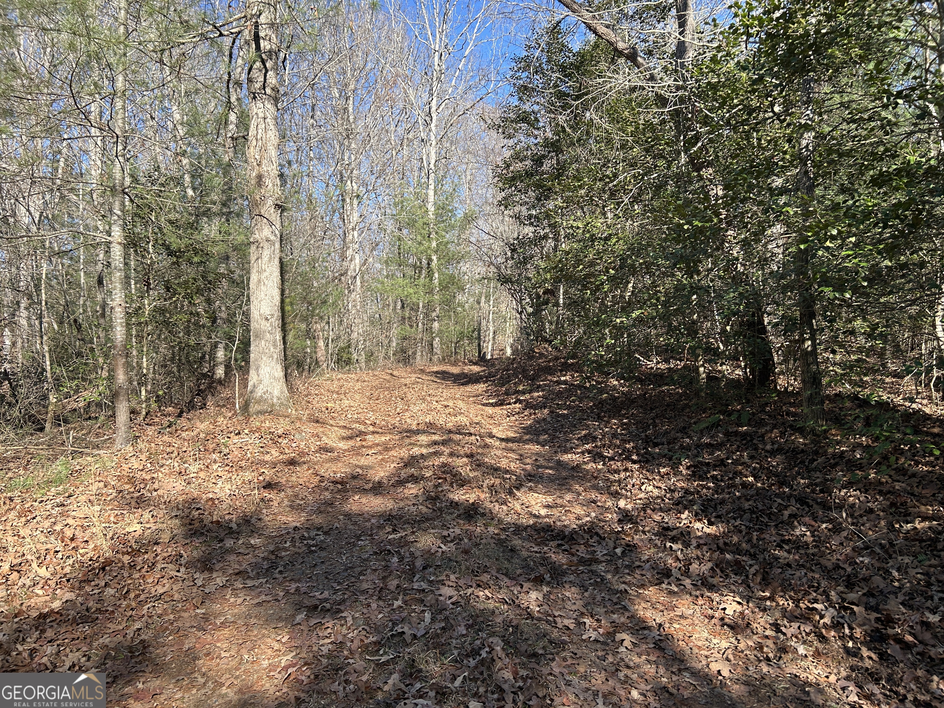 0 Twin River Orchard Road, Unit TRACT 3 Demorest, GA 30535 - Photo 38 of 39 a view of a yard with trees