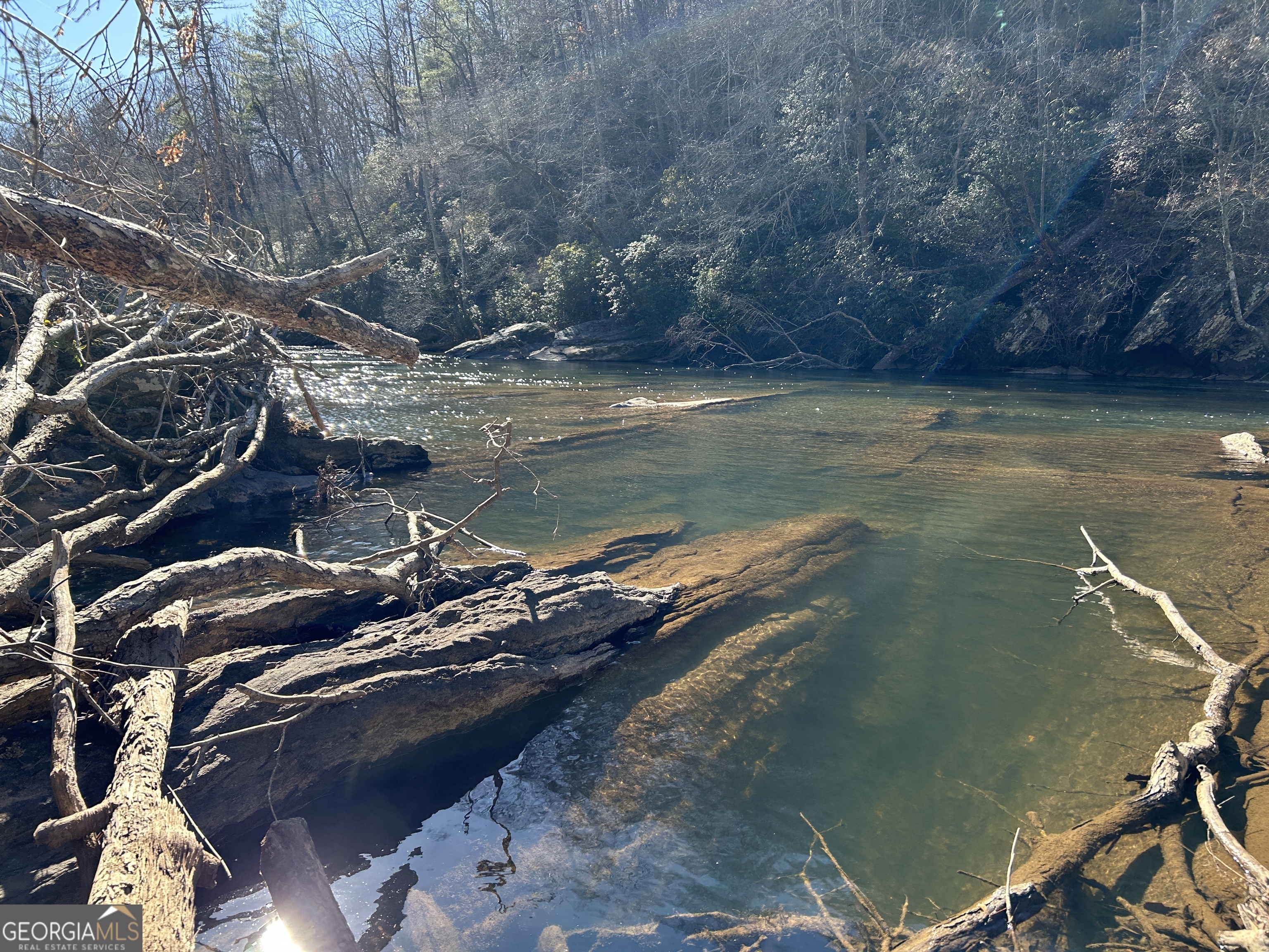 0 Twin River Orchard Road, Unit TRACT 3 Demorest, GA 30535 - Photo 7 of 39 a view of a backyard of the house