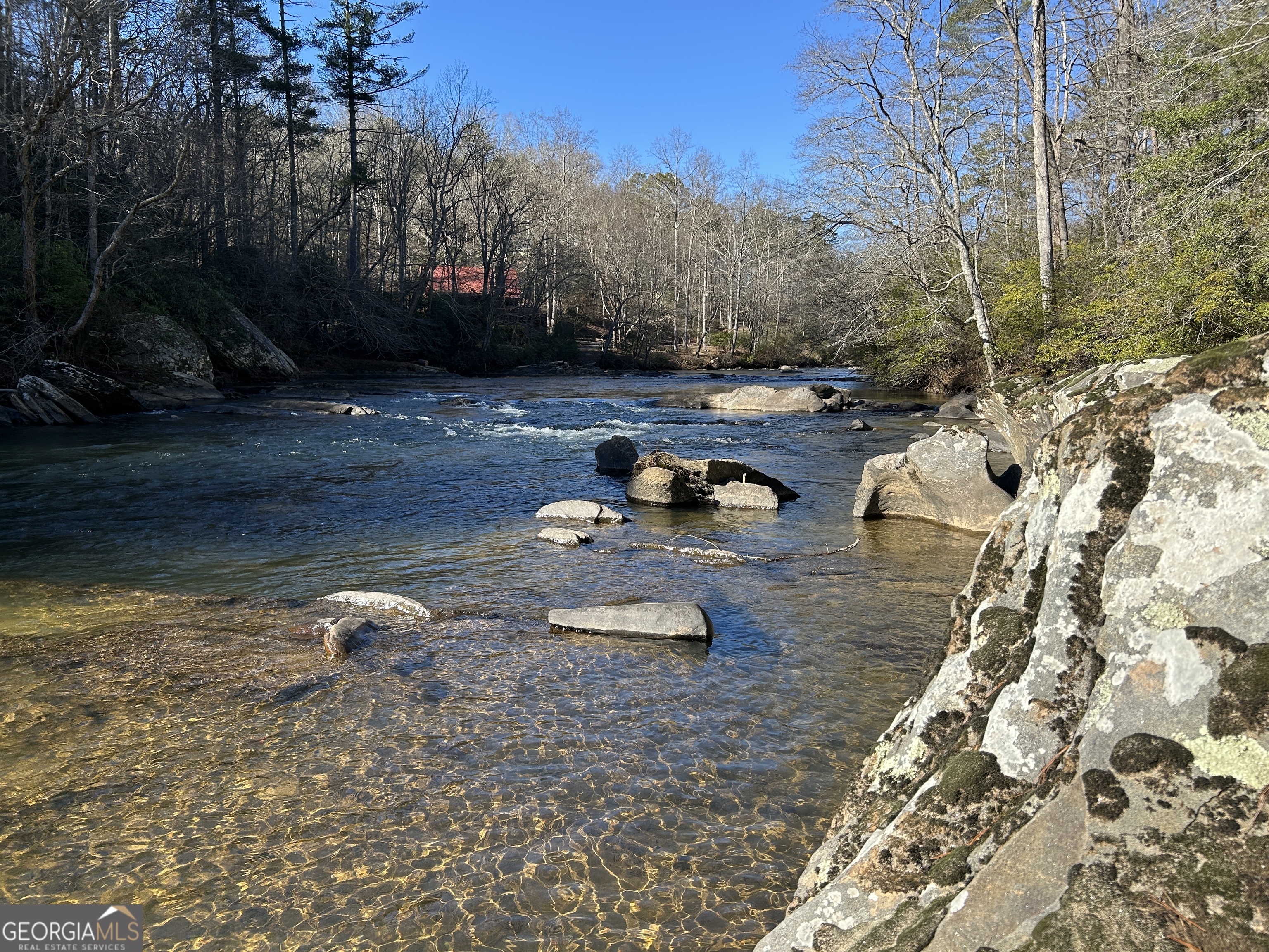 0 Twin River Orchard Road, Unit TRACT 3 Demorest, GA 30535 - Photo 10 of 39 a view of a yard with an outdoor space