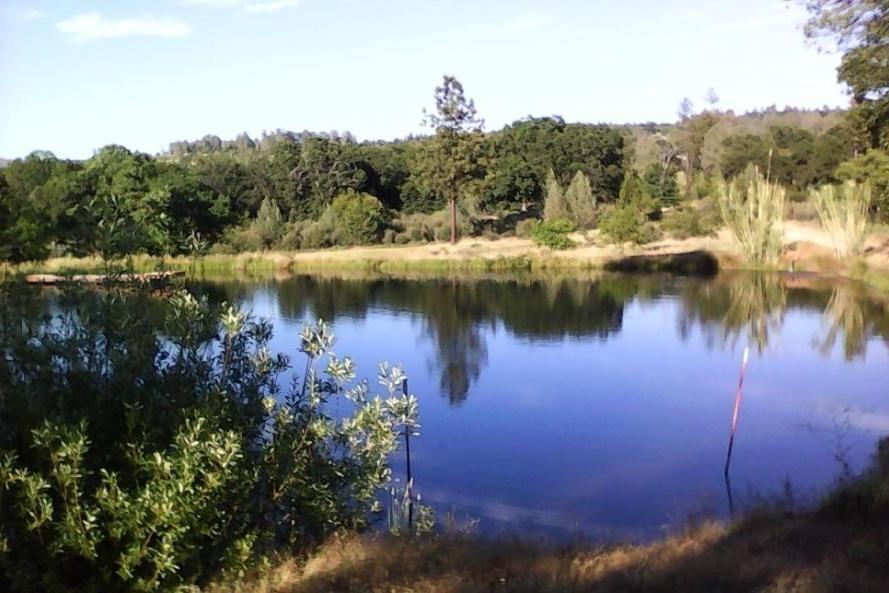 pond