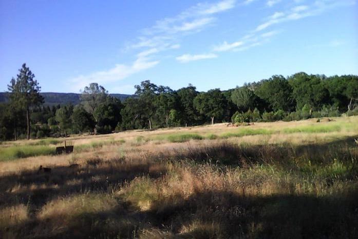 Near pond