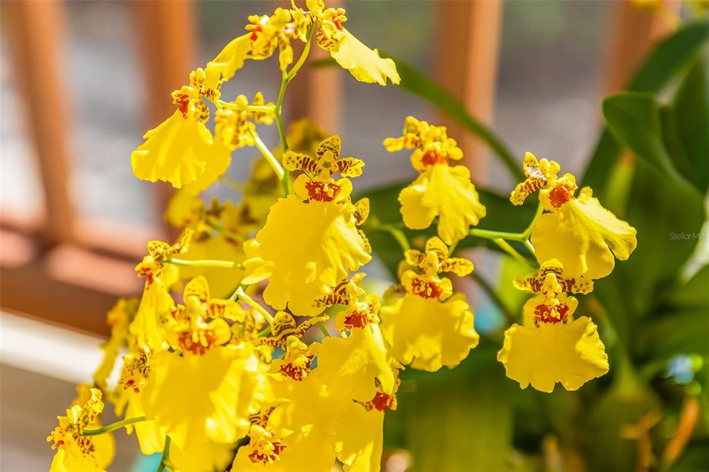 160 1st Street East Boca Grande, FL 33921 - Photo 33 of 43