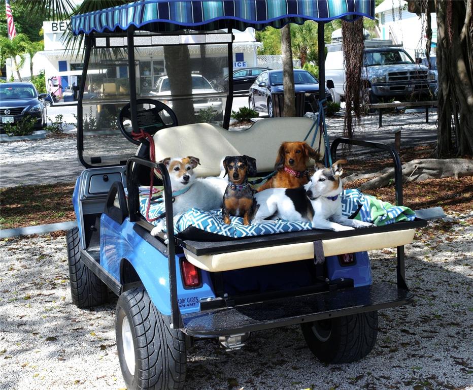 160 1st Street East Boca Grande, FL 33921 - Photo 41 of 43 a view of outdoor space with seating area