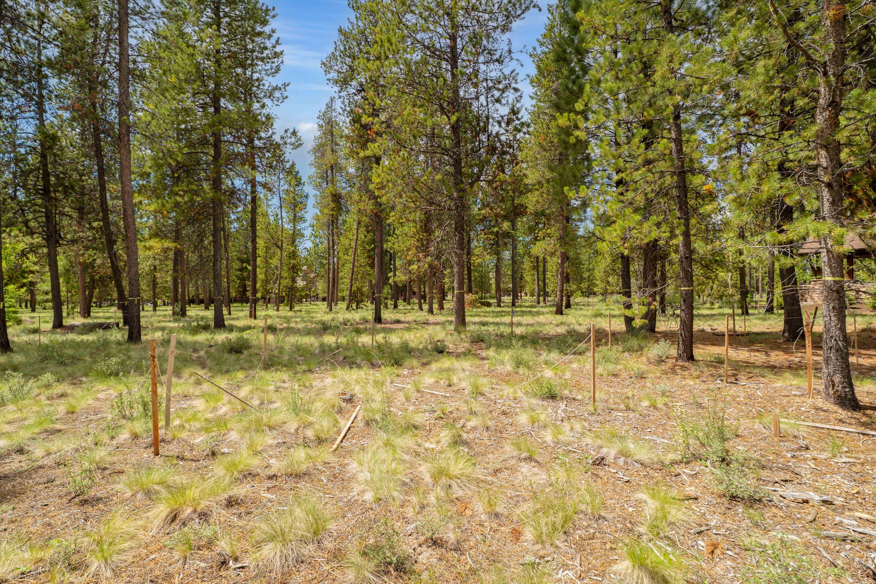 54681 Sunstone Loop, Unit 111 Bend, OR 97707 - Photo 6 of 16 9-Lot 111