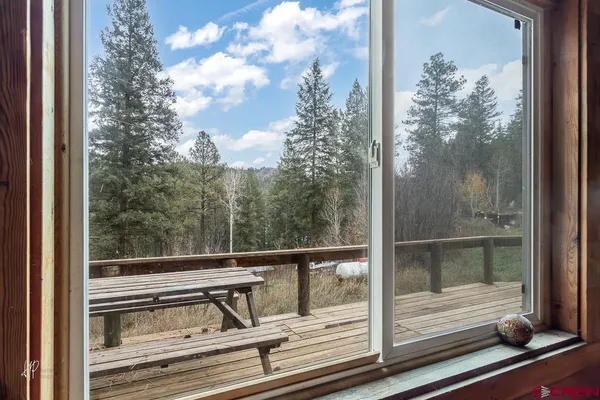 a view of a glass door with a tree