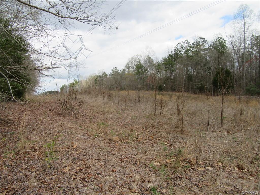 10.151 Halifax Road Carson, VA 23830 - Photo 2 of 7 a view of a dry yard