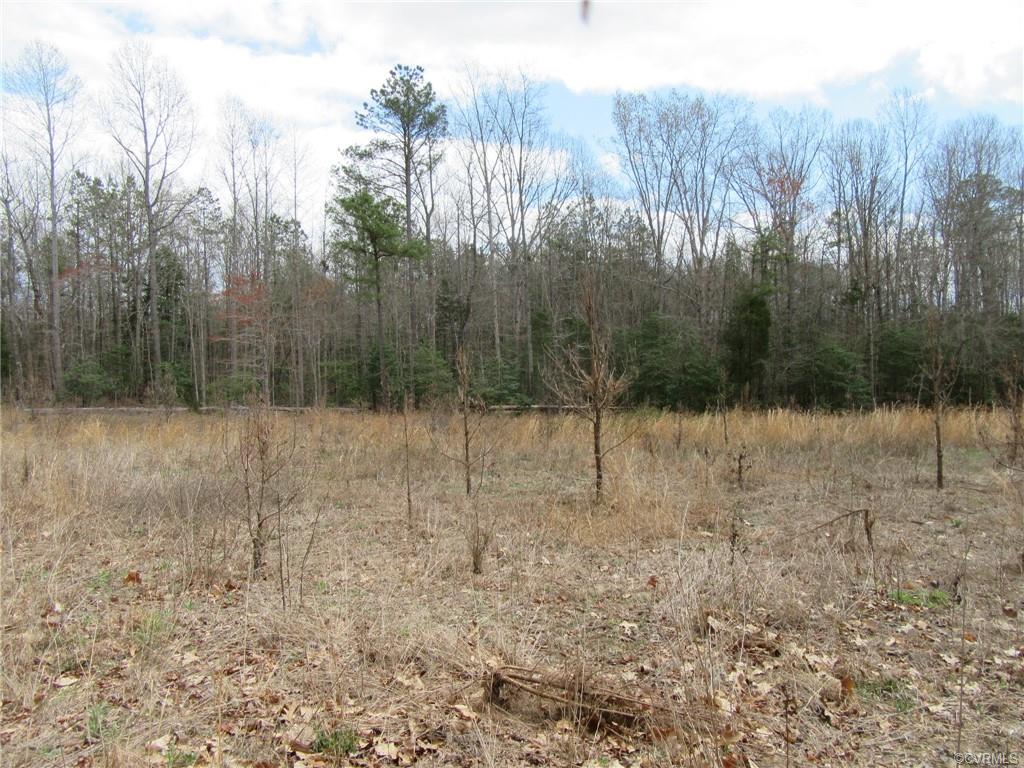 10.151 Halifax Road Carson, VA 23830 - Photo 3 of 7