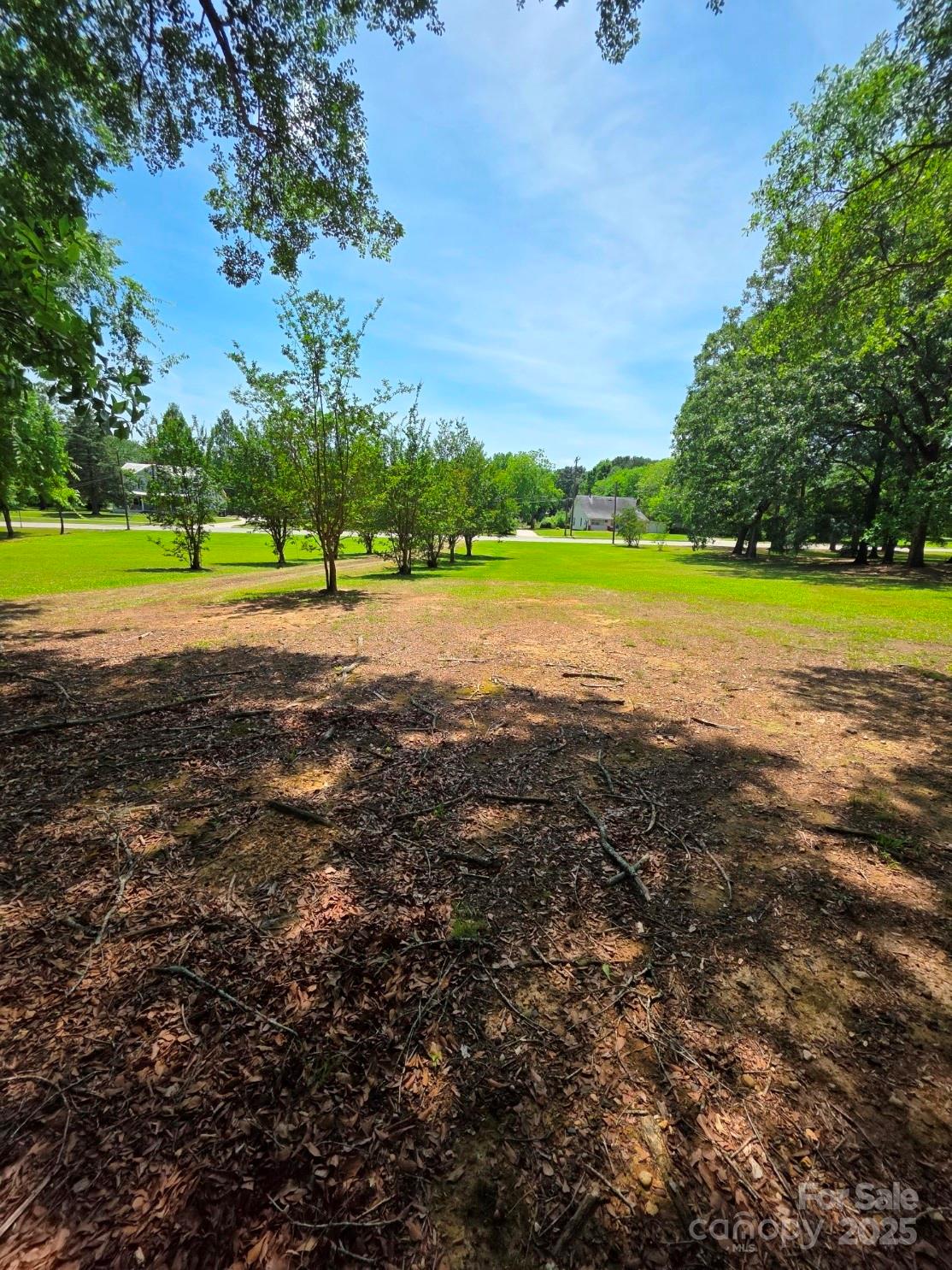 330 Plank Road Wadesboro, NC 28170 - Photo 4 of 23 a view of a field with trees in the background