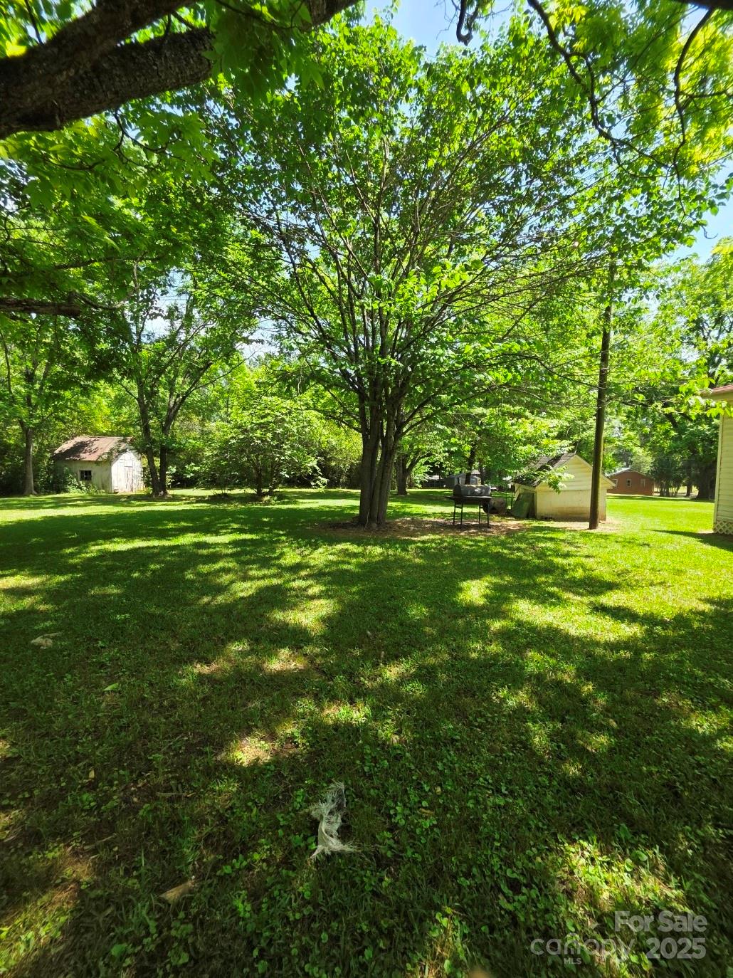 330 Plank Road Wadesboro, NC 28170 - Photo 5 of 23 a view of a park with large trees
