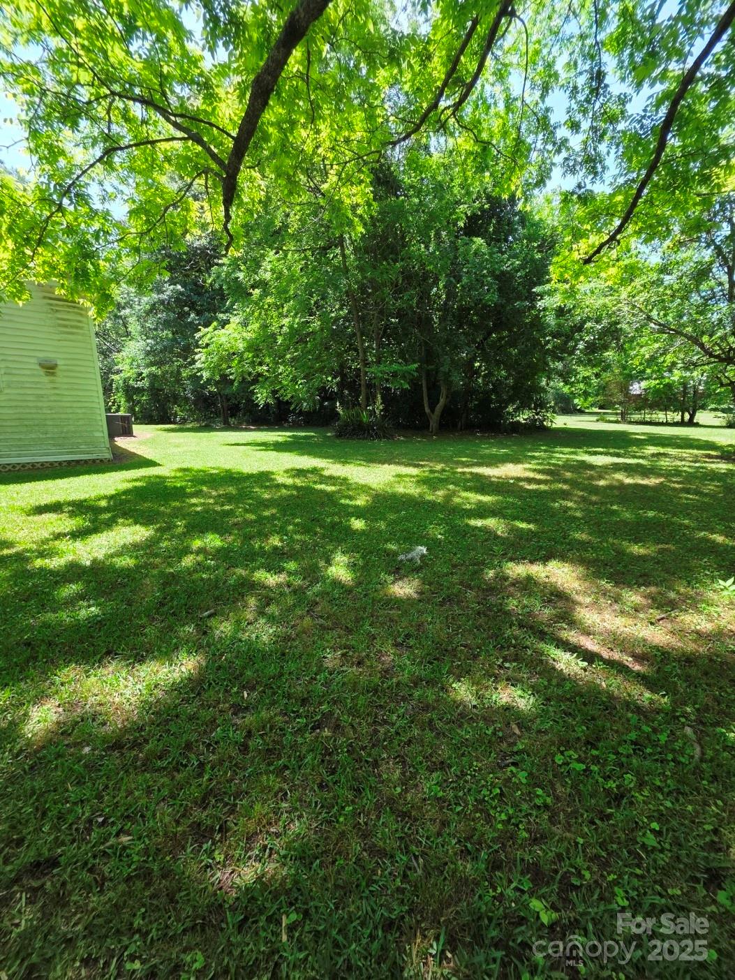 330 Plank Road Wadesboro, NC 28170 - Photo 6 of 23 a view of grassy field with trees