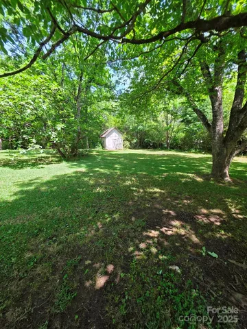 a view of a lush green space