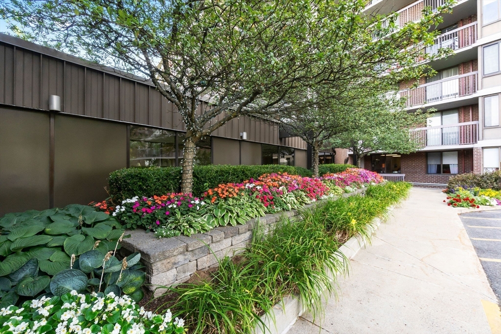 40 Village Road, Unit 1601 Middleton, MA 01949 - Photo 37 of 38 a view of a garden with flowers