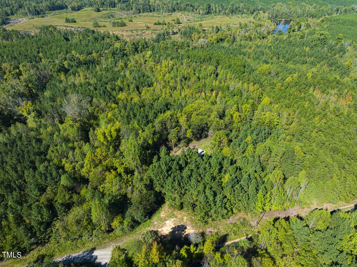 Lot-7-00 Wilson Road Providence, NC 27315 - Photo 1 of 41 Caswell Co. NC 10.03-Backwoods-Lot 7-01