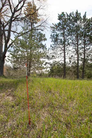 $45,000 | 2 M-66 Se Fife Lake, Fife Lake, MI 49633