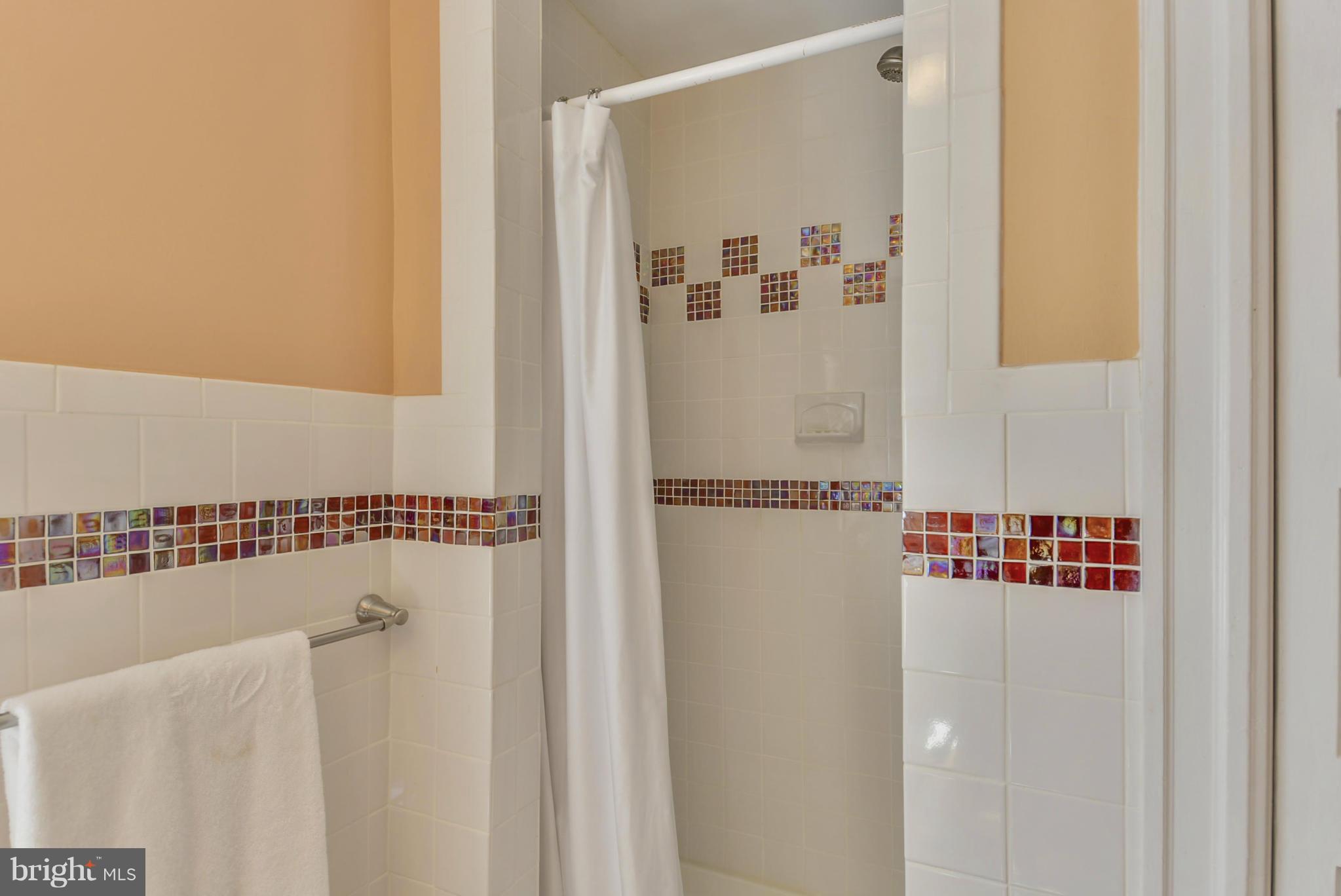 727 Chesapeake Avenue Silver Spring, MD 20910 - Photo 15 of 29 Bath1