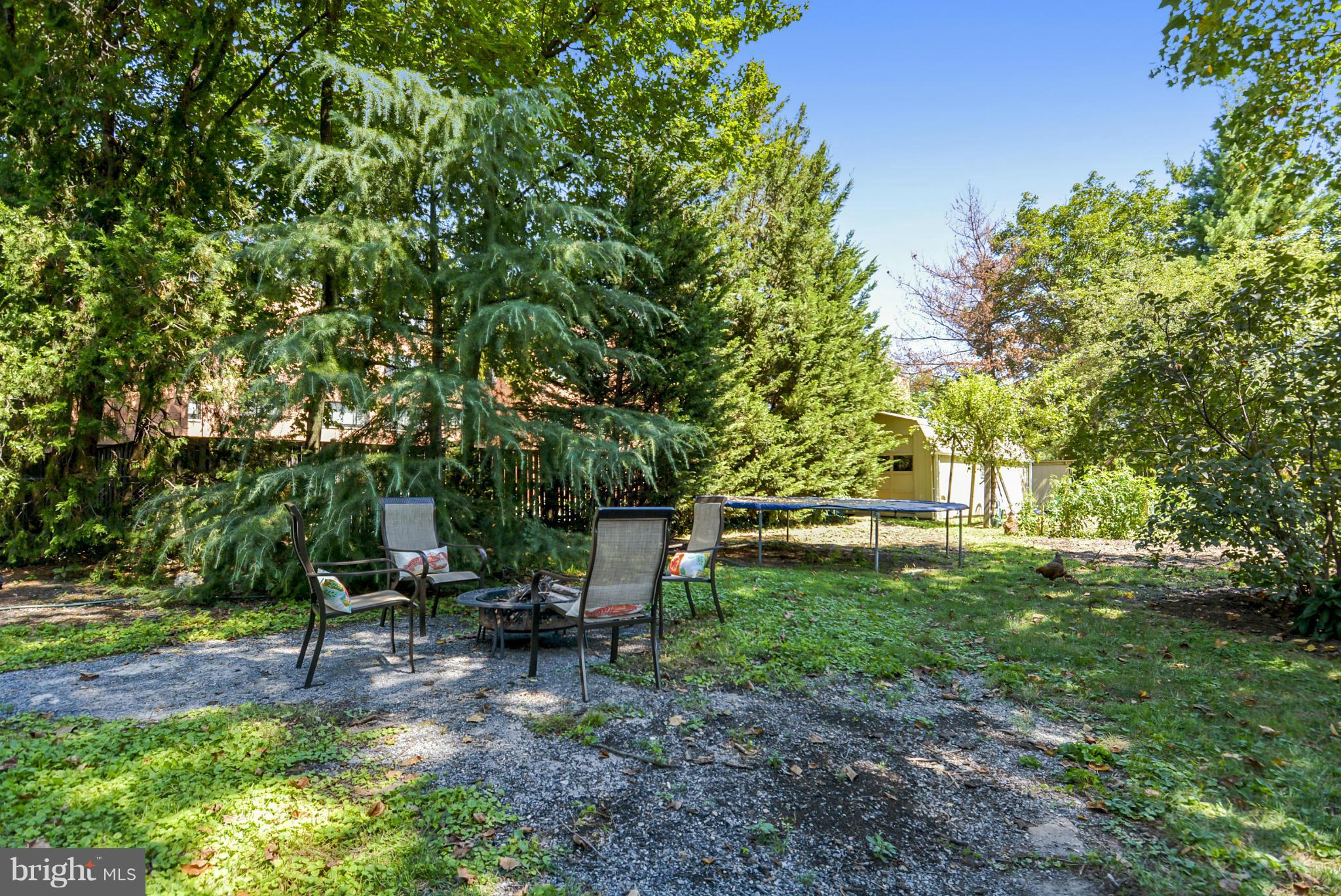 727 Chesapeake Avenue Silver Spring, MD 20910 - Photo 28 of 29 backyard