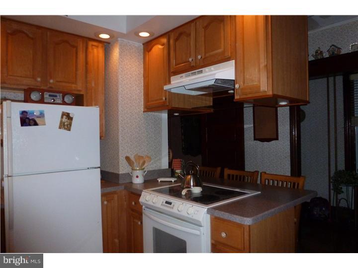 254 Vineyard Road Atco, NJ 08004 - Photo 8 of 23 Kitchen