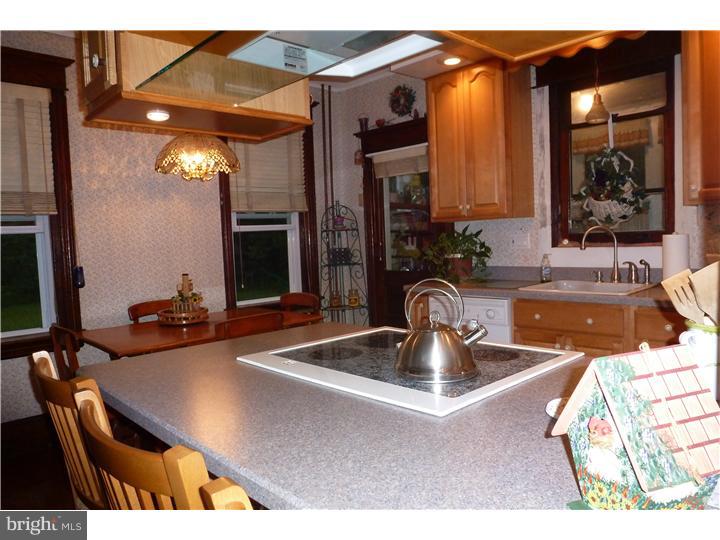 254 Vineyard Road Atco, NJ 08004 - Photo 9 of 23 Kitchen