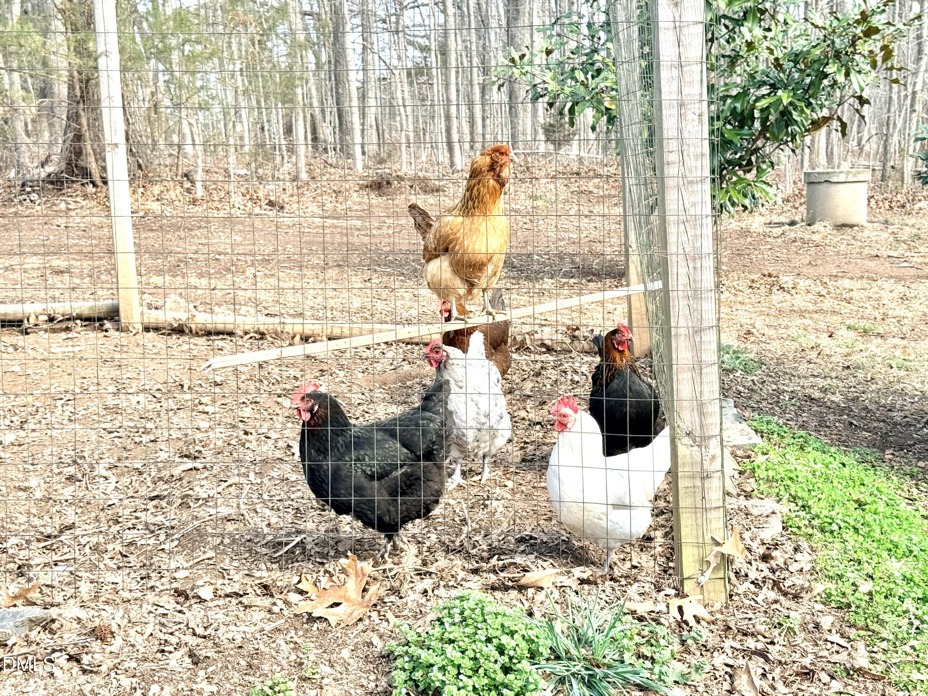 242 Lewis Winstead Loop Roxboro, NC 27574 - Photo 60 of 75 IMG_5807