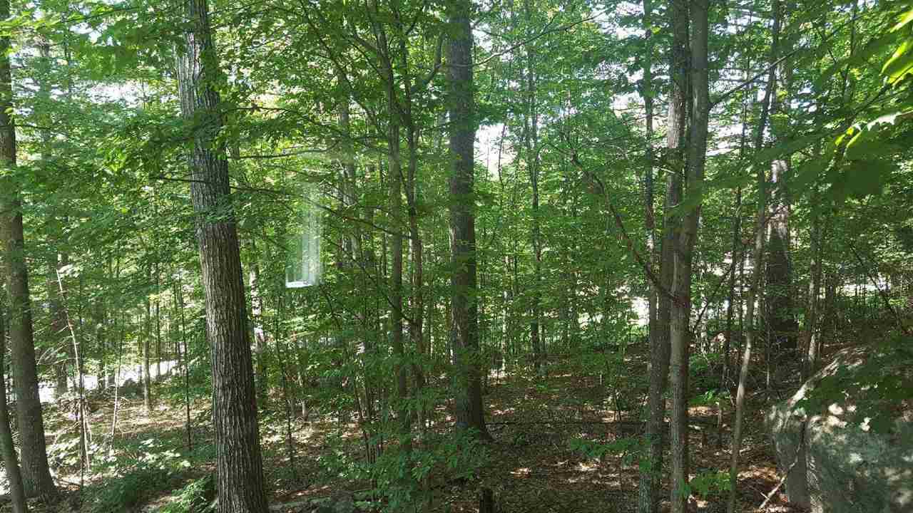268 Trask Side Road Alton, NH 03810 - Photo 2 of 3