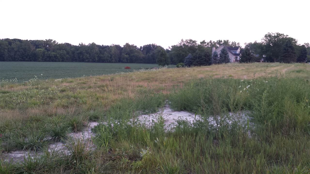 0 State Road Spencerville, IN 46788 - Photo 3 of 3