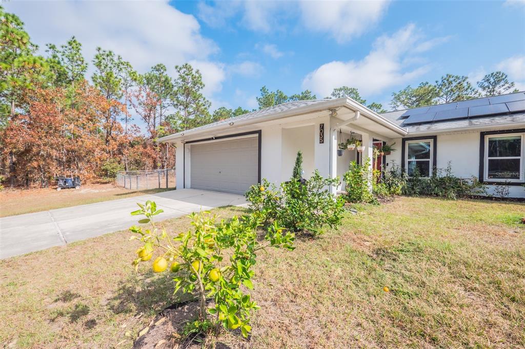 7035 Southwest 136th Court Road Ocala, FL 34481 - Photo 40 of 46
