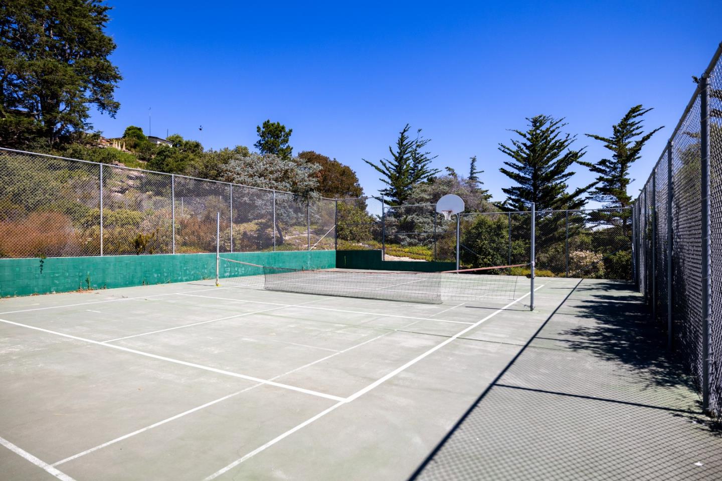 121 Quail Run Court Del Rey Oaks, CA 93940 - Photo 32 of 33 a view of a yard with palm trees