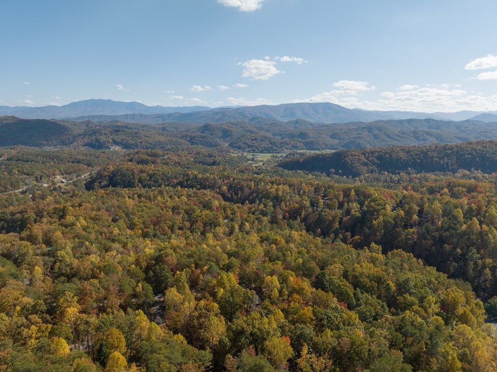 1630 Walt Price Road, Unit CUBSCORNER Pigeon Forge, TN 37876 - Photo 40 of 41 Gallery Image 40