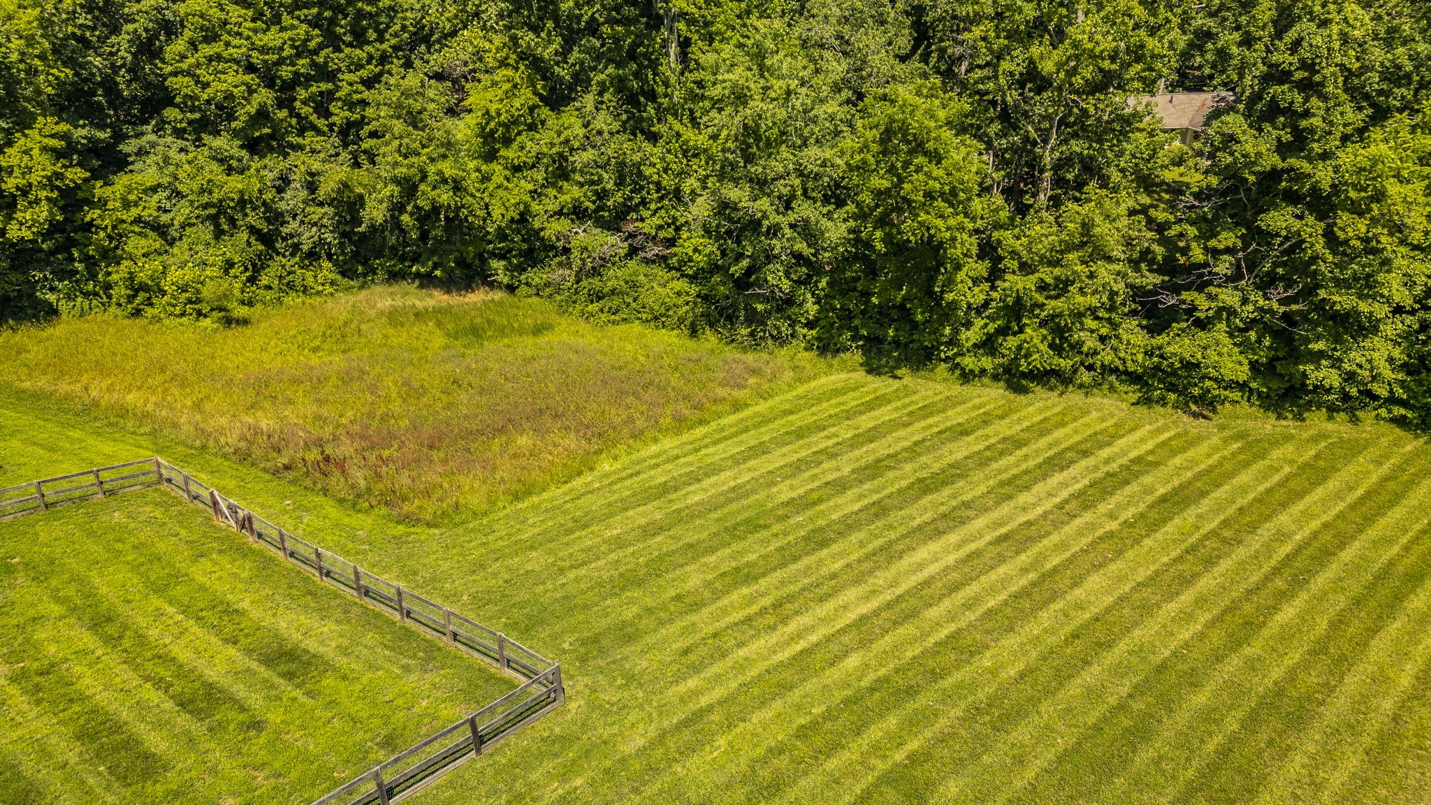 8326 Betts Road Greenbrier, TN 37073 - Photo 43 of 51