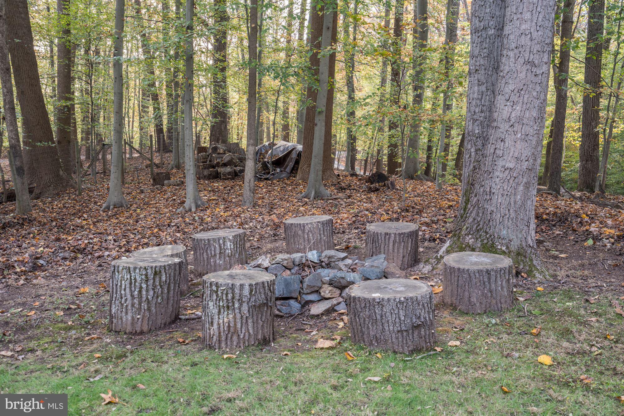 9205 Potomac Ridge Road Great Falls, VA 22066 - Photo 27 of 32 Gallery Image 27