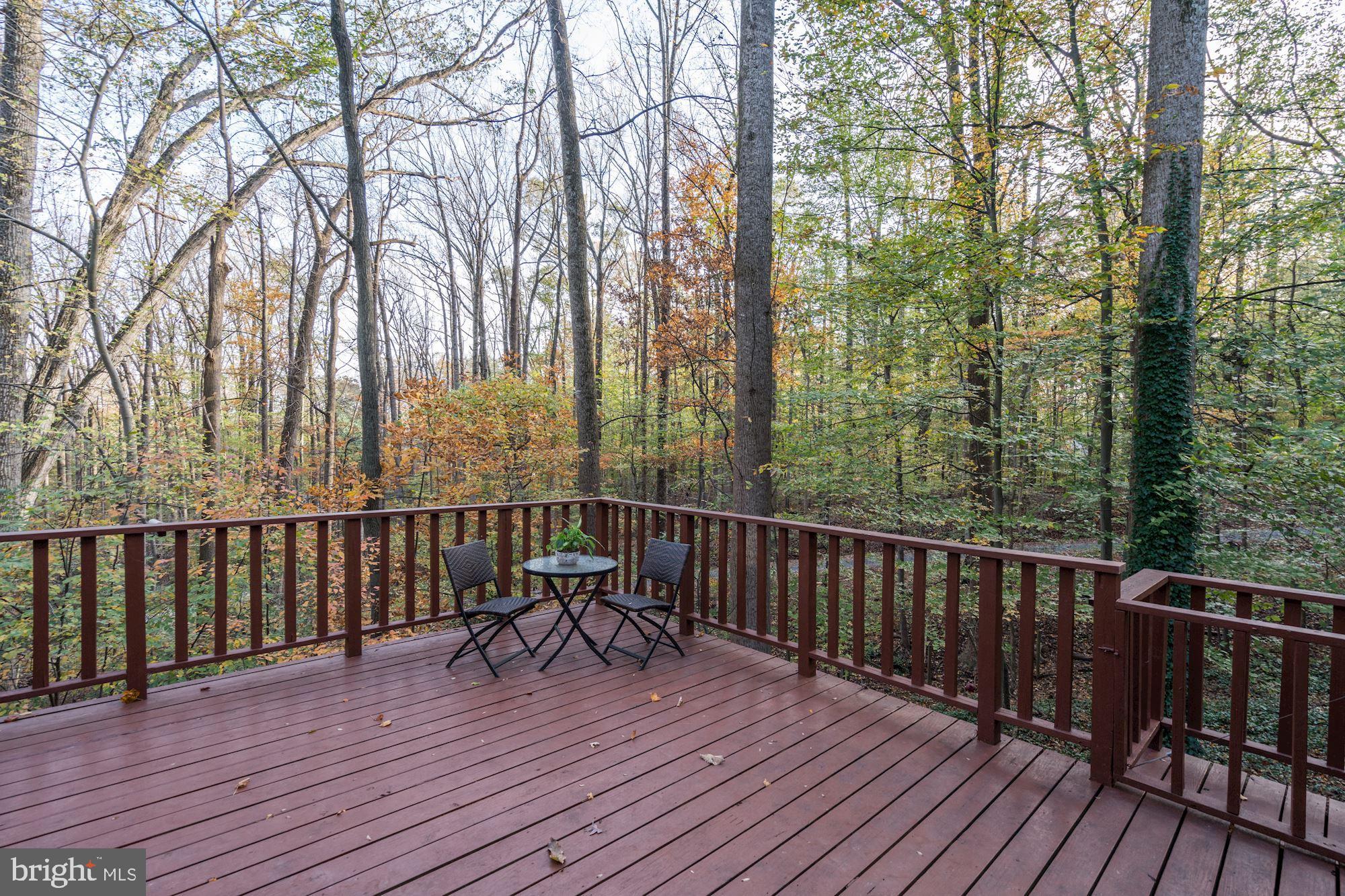 9205 Potomac Ridge Road Great Falls, VA 22066 - Photo 10 of 32 Gallery Image 10