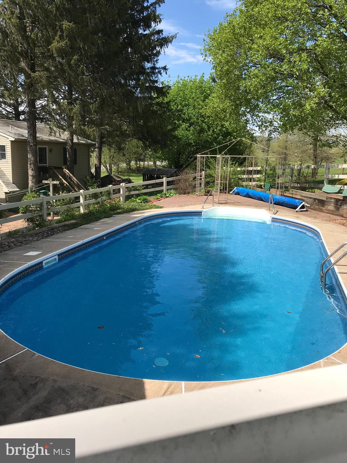 740 Pine Street Barto, PA 19504 - Photo 40 of 42 Pool in Summer