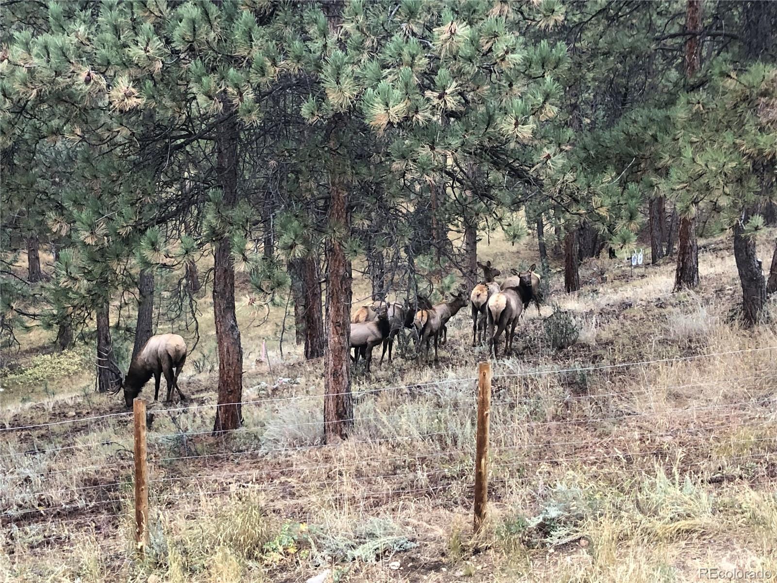 444 Broken Arrow Road Evergreen, CO 80439 - Photo 33 of 34