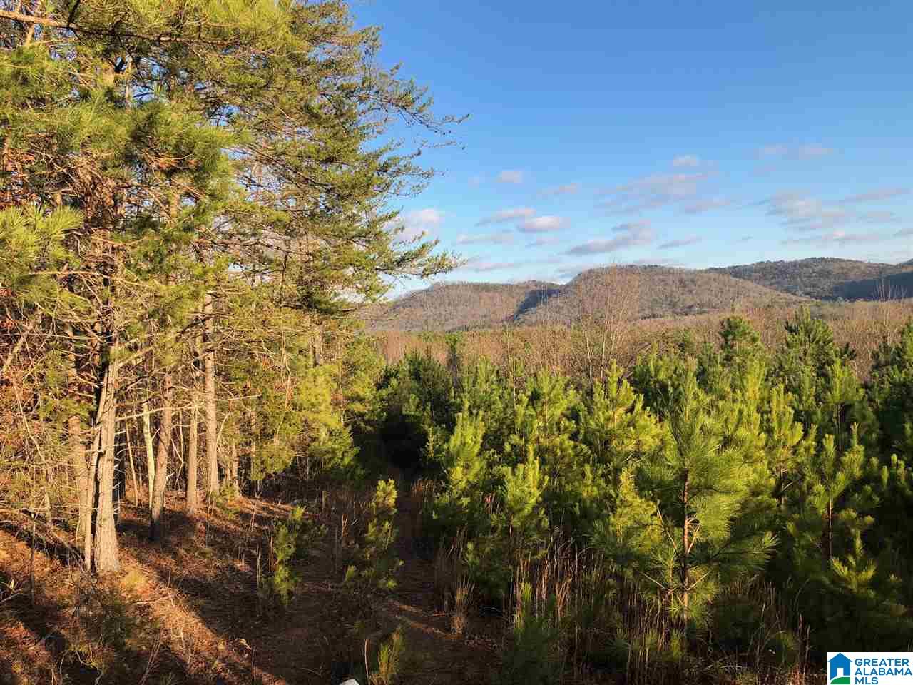 0 Duck Springs Road, Unit 2 PARCELS Attalla, AL 35954 - Photo 24 of 24