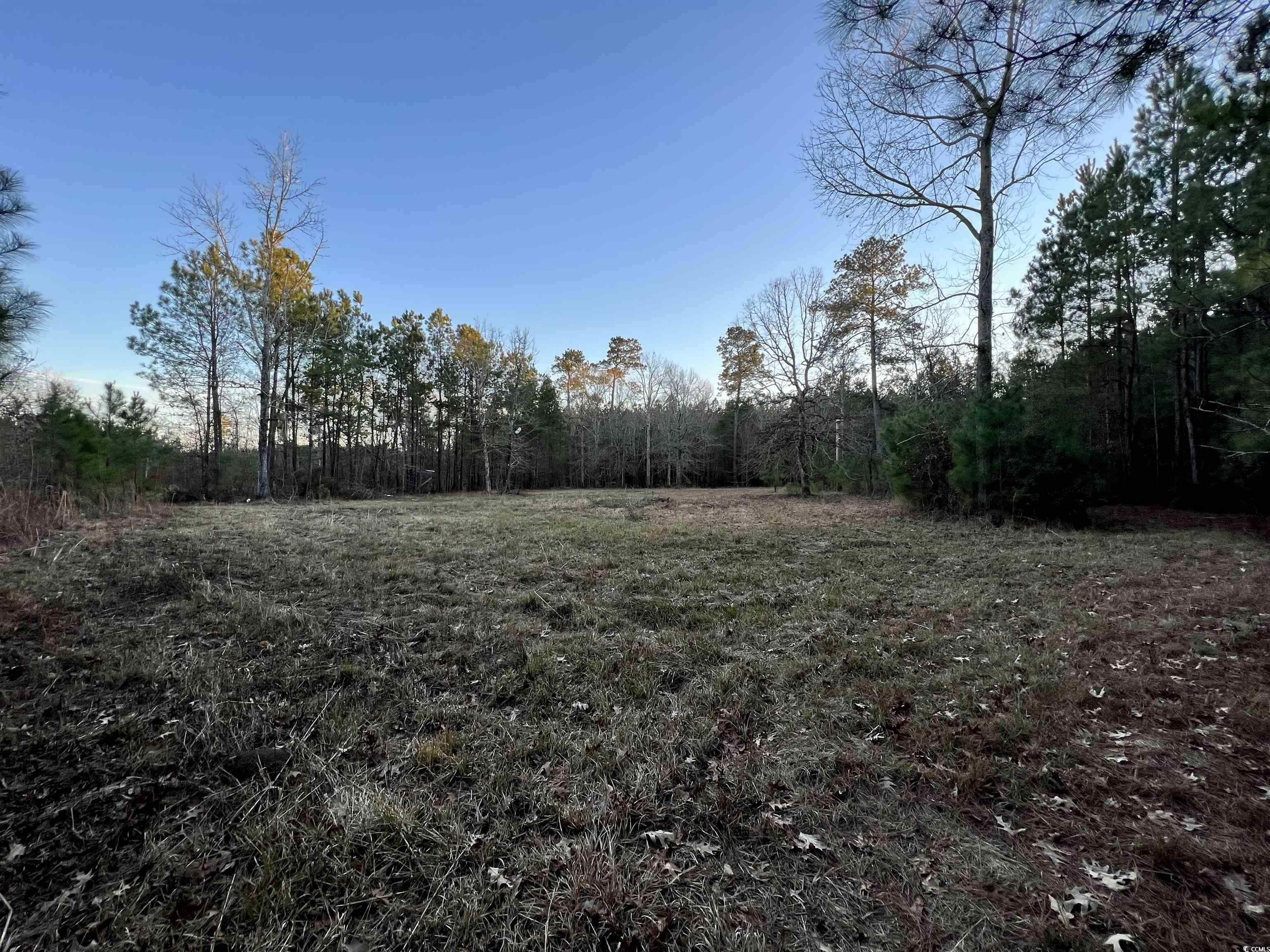 9207 County Line Road Nesmith, SC 29580 - Photo 5 of 7 Gallery Image 5
