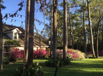 $2,975,000 | 802 Flint River Drive, Houston, TX 77024