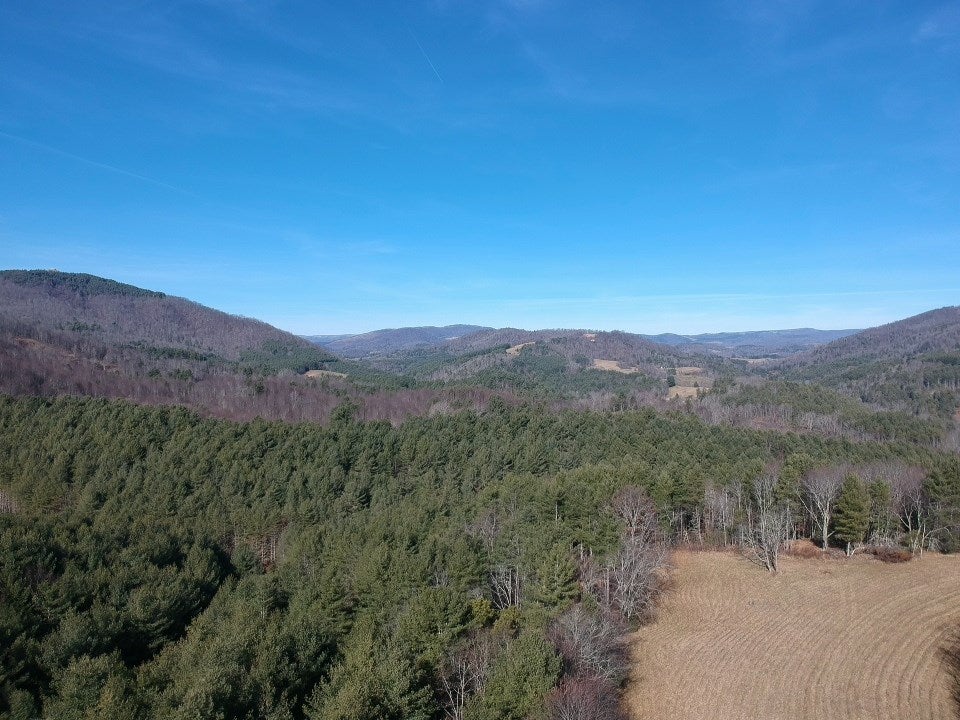 Tbd Fox Ridge Road Mouth Of Wilson, VA 24363 - Photo 14 of 17 Gallery Image 14