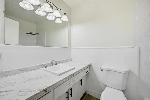 a bathroom with a sink vanity and toilet