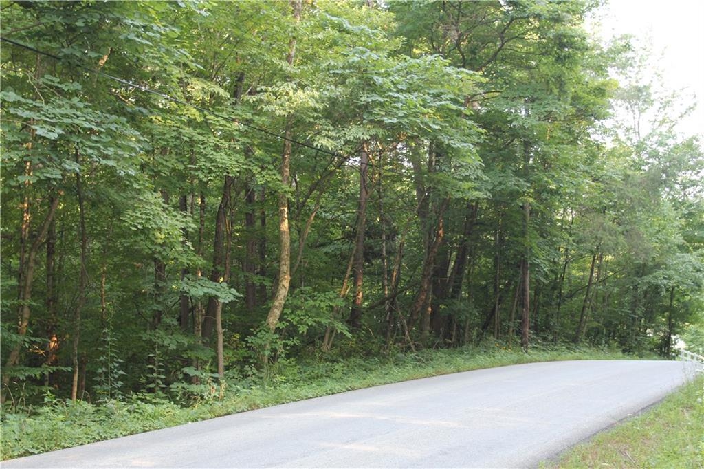 0 Bean Blossom Road Trafalgar, IN 46181 - Photo 1 of 30 Gallery Image 1