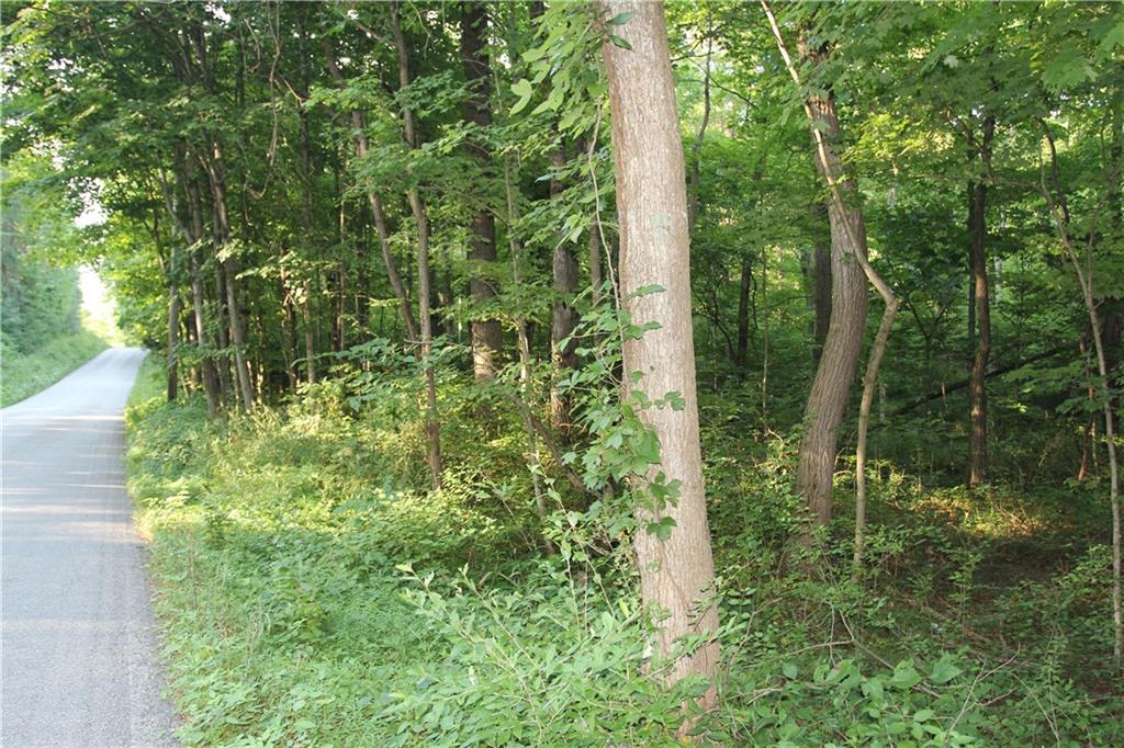 0 Bean Blossom Road Trafalgar, IN 46181 - Photo 2 of 30 Gallery Image 2
