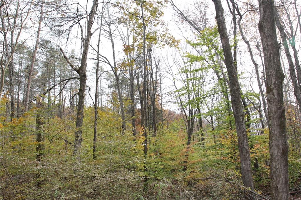 0 Bean Blossom Road Trafalgar, IN 46181 - Photo 18 of 30 Gallery Image 18