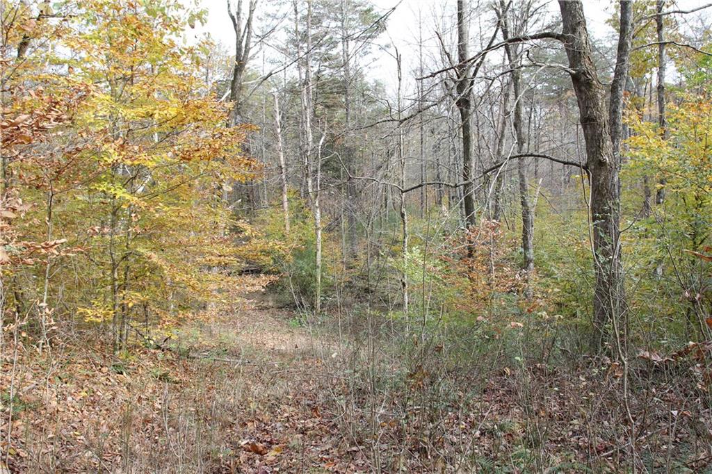 0 Bean Blossom Road Trafalgar, IN 46181 - Photo 20 of 30 Gallery Image 20