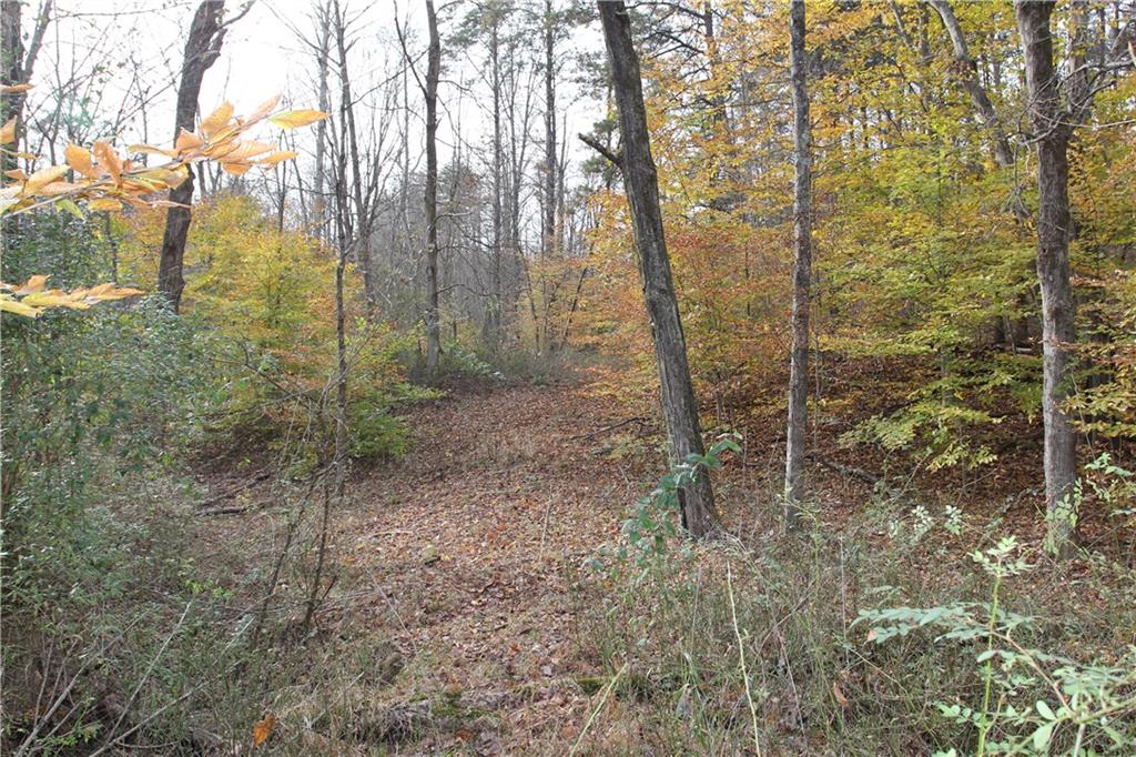 0 Bean Blossom Road Trafalgar, IN 46181 - Photo 21 of 30 Gallery Image 21