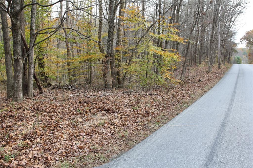 0 Bean Blossom Road Trafalgar, IN 46181 - Photo 22 of 30 Gallery Image 22