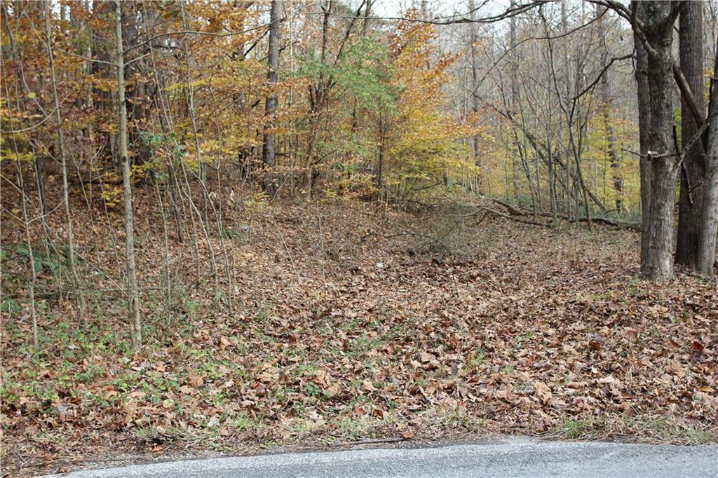 0 Bean Blossom Road Trafalgar, IN 46181 - Photo 23 of 30 Gallery Image 23