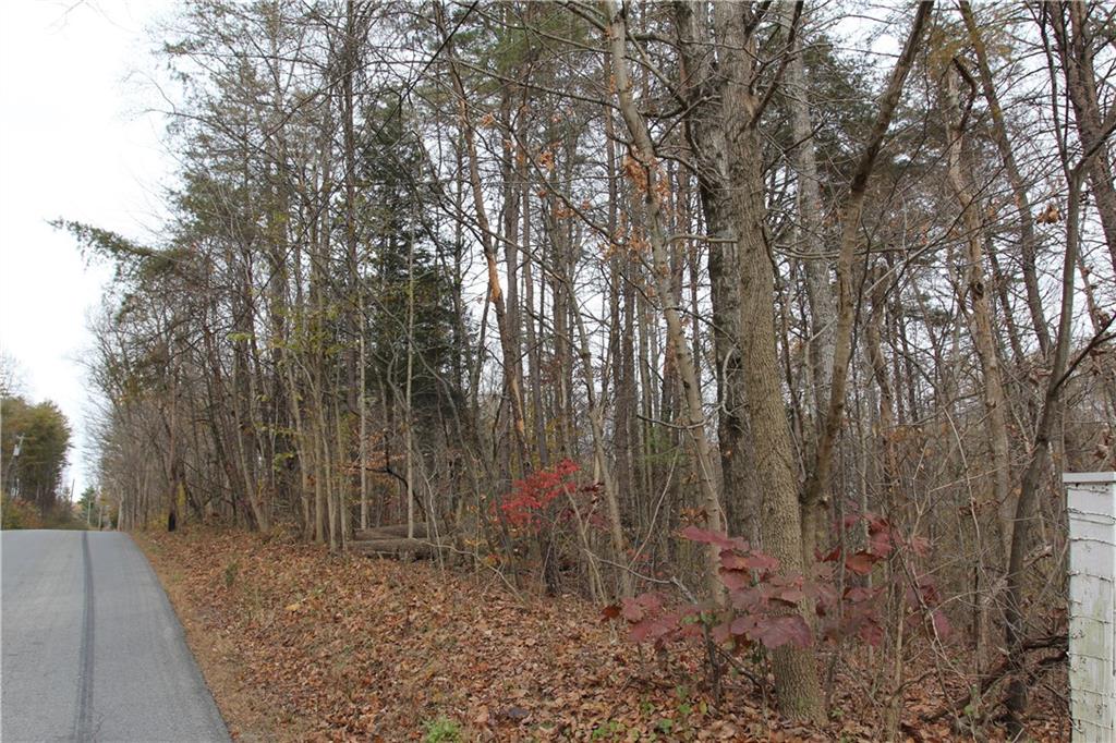 0 Bean Blossom Road Trafalgar, IN 46181 - Photo 25 of 30 Gallery Image 25