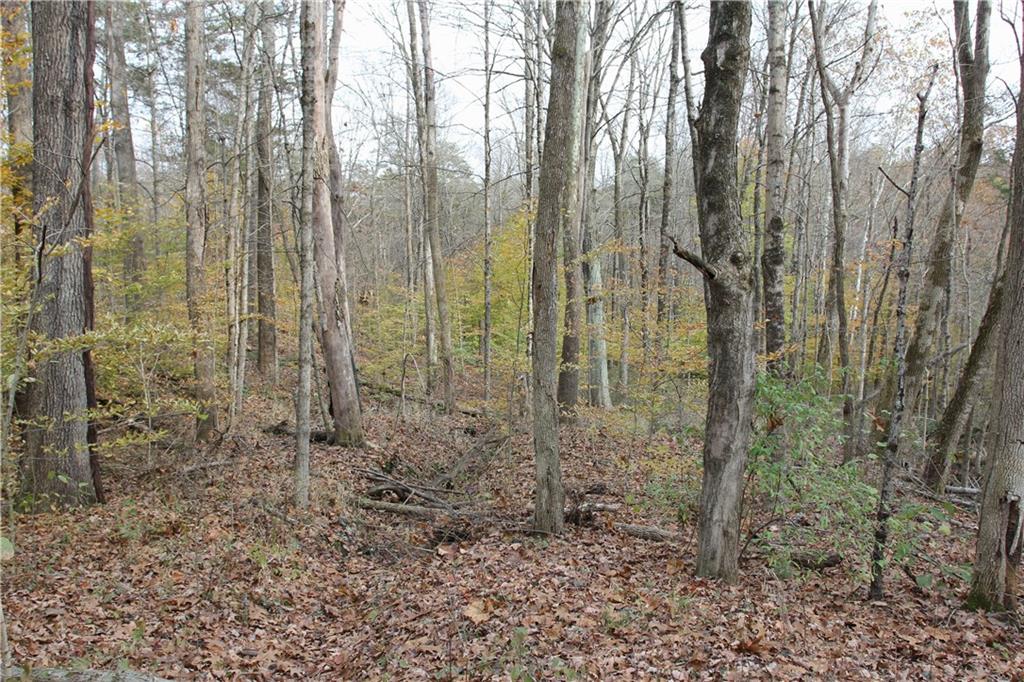0 Bean Blossom Road Trafalgar, IN 46181 - Photo 26 of 30 Gallery Image 26