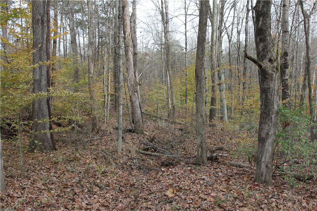 0 Bean Blossom Road Trafalgar, IN 46181 - Photo 27 of 30 Gallery Image 27