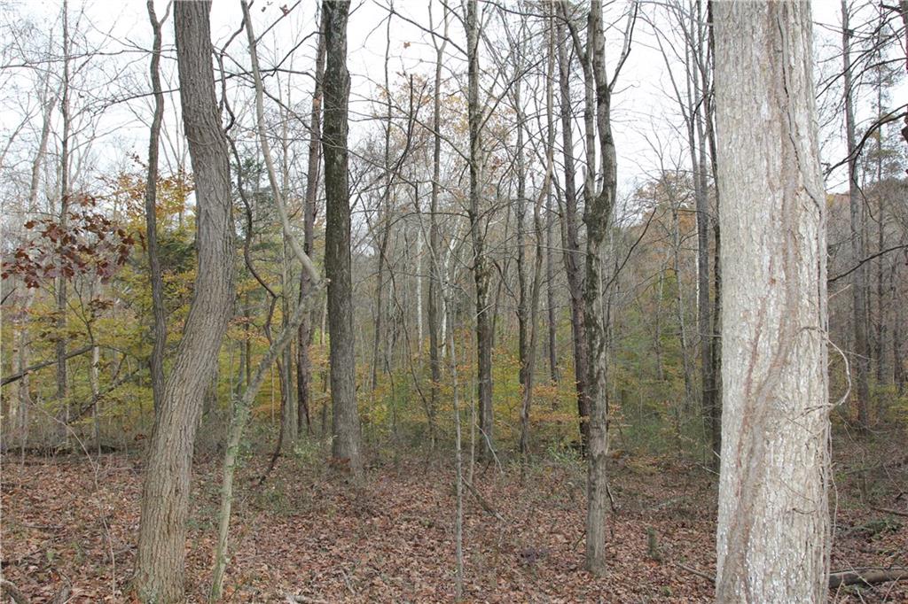 0 Bean Blossom Road Trafalgar, IN 46181 - Photo 28 of 30 Gallery Image 28